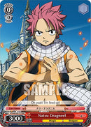 Natsu Dragneel (FT/EN-S02-T11 TD RE) [Fairy Tail Chronicle Set]