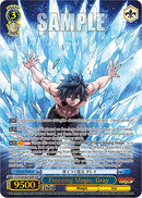 Freezing Magic, Gray (FT/S120-E076SSP SSP) [FAIRY TAIL 100 YEARS QUEST]