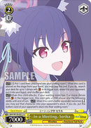 In a Meeting, Serika (BAV/W129-E011) [Blue Archive The Animation]