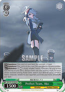 Prefect Team, Ako (BAV/W129-E022) [Blue Archive The Animation]