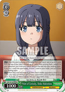 Point of Curiosity, Shoko Makinohara (SBY/W136-E028) [Rascal Does Not Dream of Santa Claus]