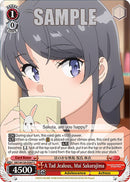 A Tad Jealous, Mai Sakurajima (SBY/W136-E067) [Rascal Does Not Dream of Santa Claus]
