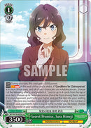Secret Promise, Sara Himeji (SR) (SBY/W136-E030S) [Rascal Does Not Dream of Santa Claus]