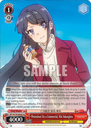 Photoshoot for a Commercial, Mai Sakurajima (SR) (SBY/W136-E066S) [Rascal Does Not Dream of Santa Claus]