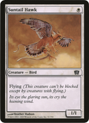 Suntail Hawk (Oversized) [Eighth Edition Box Topper]