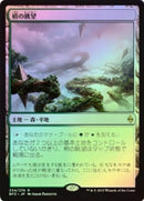 Canopy Vista [Battle for Zendikar] (Japanese)