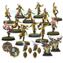 Wood Elf Blood Bowl Team: Athelorn Avengers