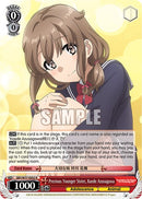 Precious Younger Sister, Kaede Azusagawa [Rascal Does Not Dream of a Dreaming Girl]