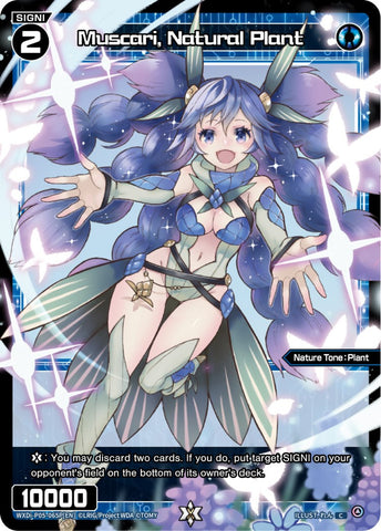 Mucsari, Natural Plant (Parallel Foil) (WXDi-P05-065P) [Curiosity Diva]