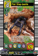 Flat Stag-beetle (D-BT13/EX08EN) [Flight of Chakrabarthi]