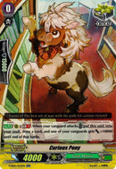 Curious Pony (V-SS01/053EN) [Premium Collection 2019]